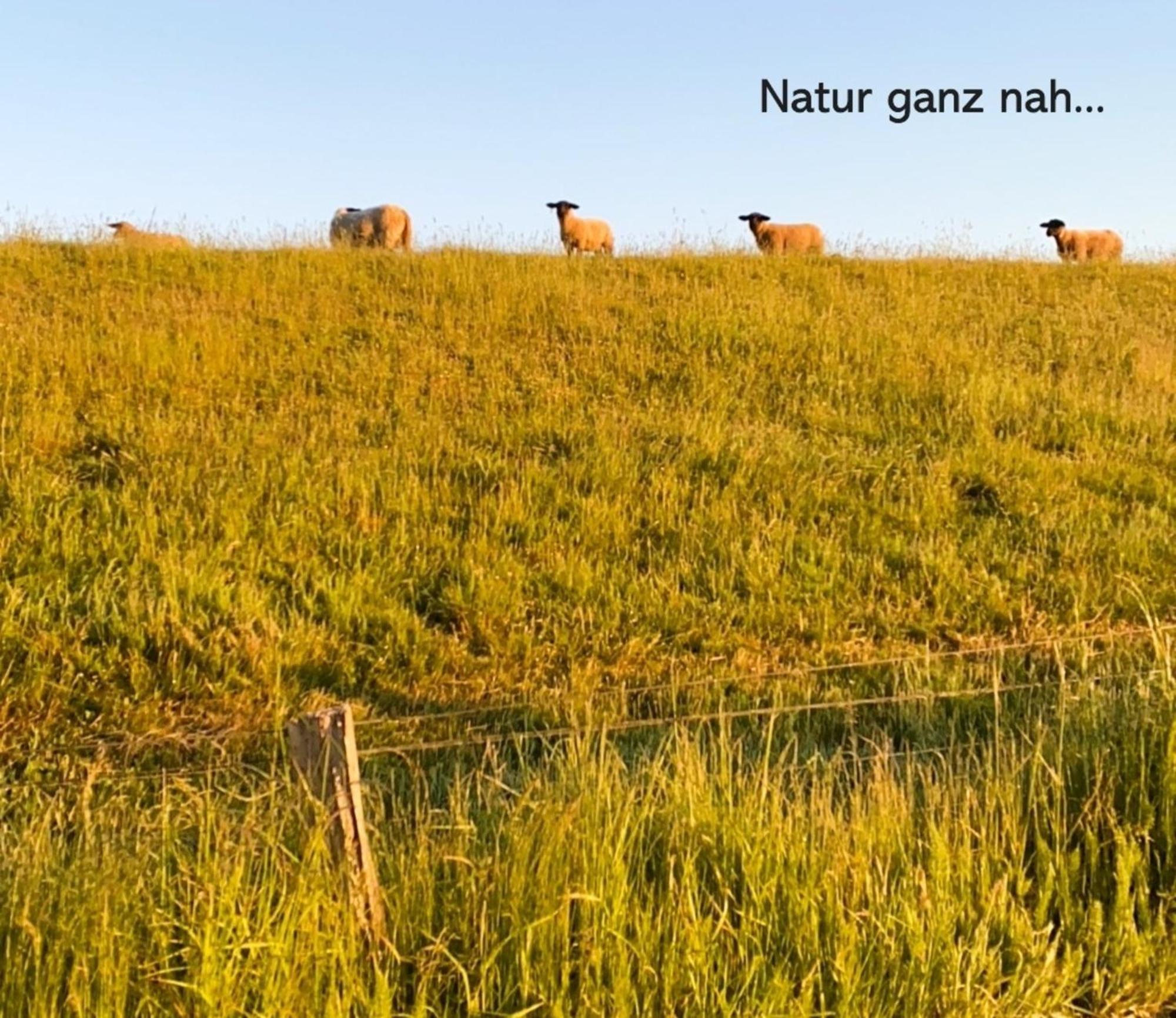 Landliebe Lägenhet Stein  Exteriör bild